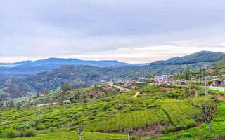 aerial-view-of-nuwara-eliya